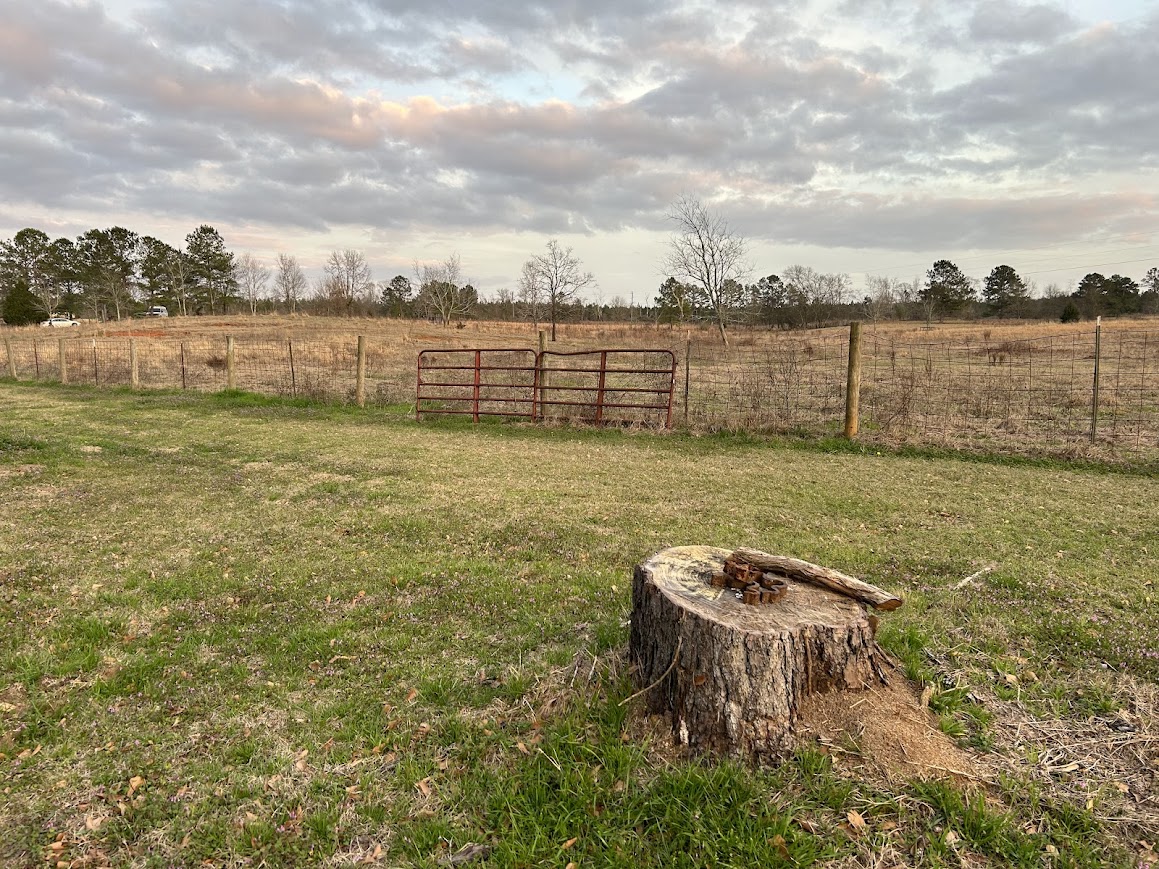 Why a Serene Environment is Crucial for Recovery