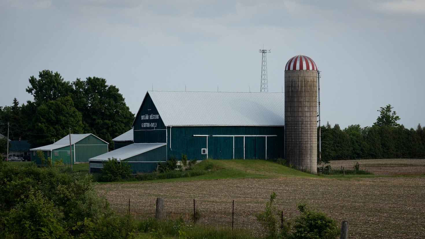 Exploring the Impact of M3 Industries on Rehabilitation