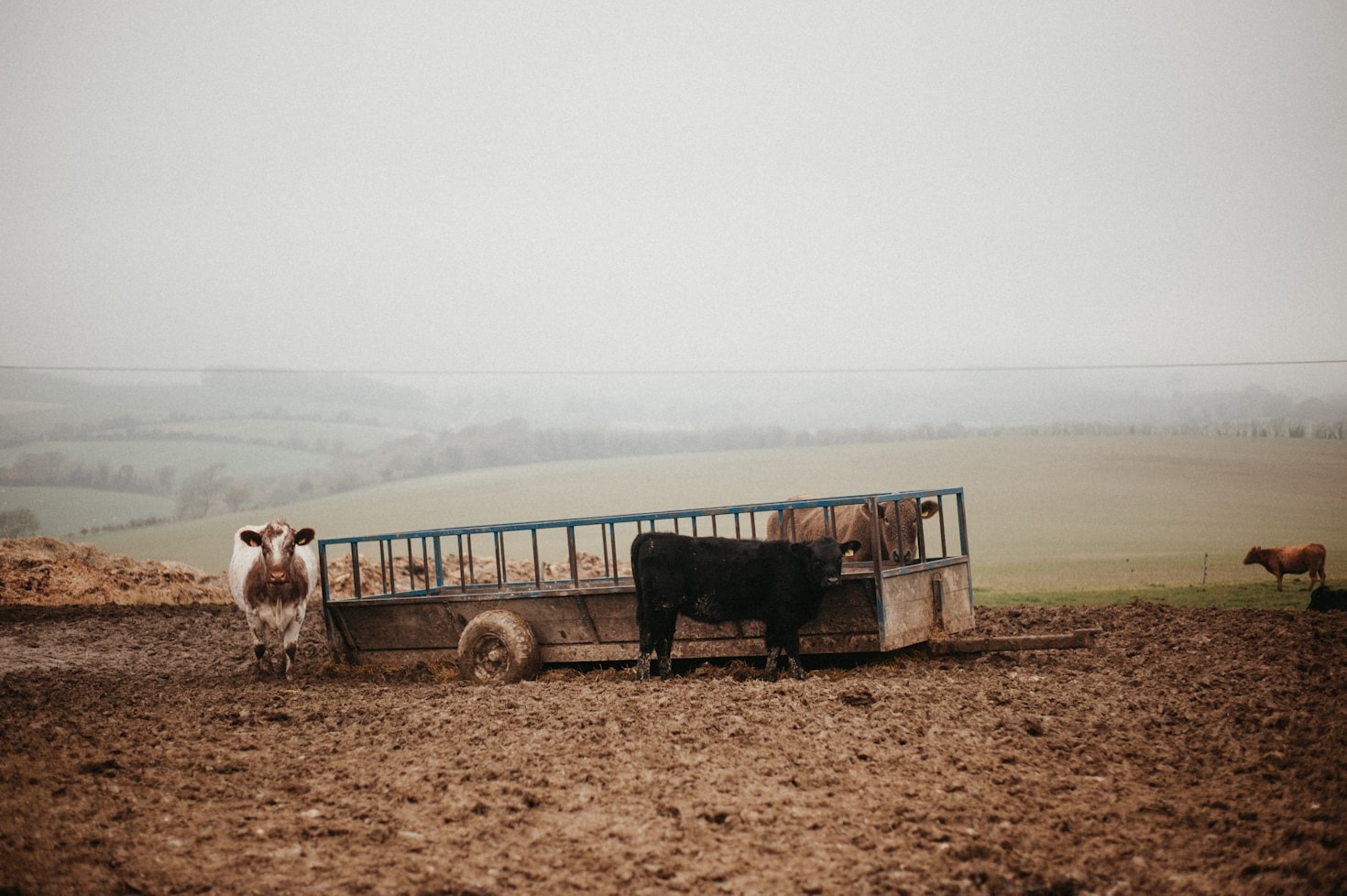 Transformative Stories from Mighty Man Ministry